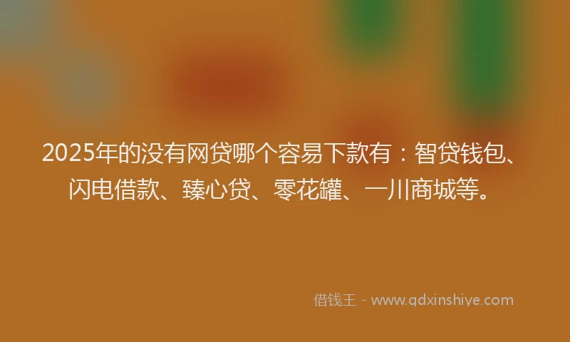 2025年的没有网贷哪个容易下款有：智贷钱包、闪电借款、臻心贷、零花罐、一川商城等。