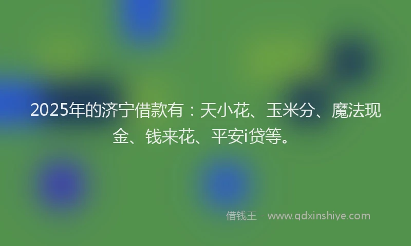 2025年的济宁借款有：天小花、玉米分、魔法现金、钱来花、平安i贷等。