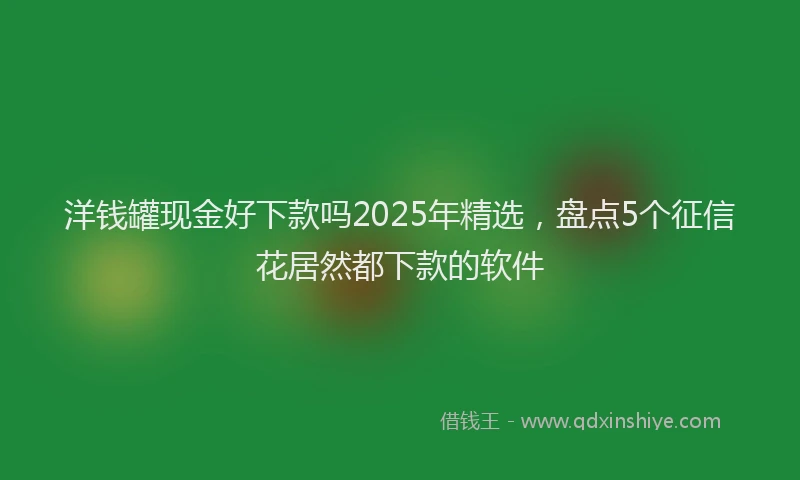 洋钱罐现金好下款吗2025年精选，盘点5个征信花居然都下款的软件