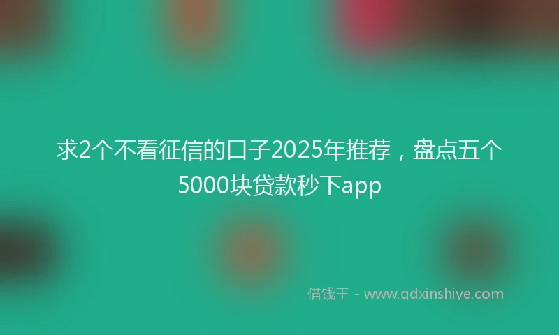 求2个不看征信的口子2025年推荐，盘点五个5000块贷款秒下app