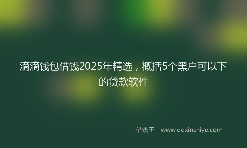 滴滴钱包借钱2025年精选，概括5个黑户可以下的贷款软件