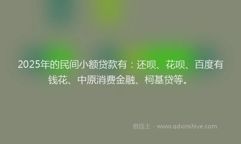 2025年的民间小额贷款有：还呗、花呗、百度有钱花、中原消费金融、柯基贷等。