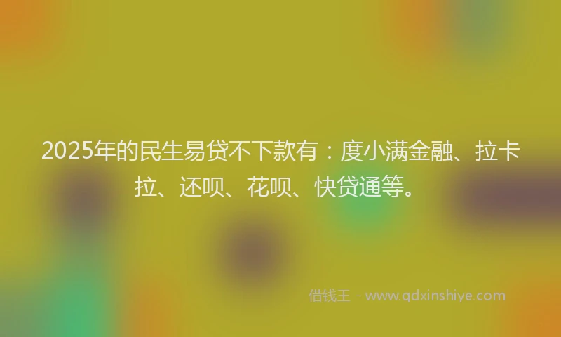 2025年的民生易贷不下款有：度小满金融、拉卡拉、还呗、花呗、快贷通等。