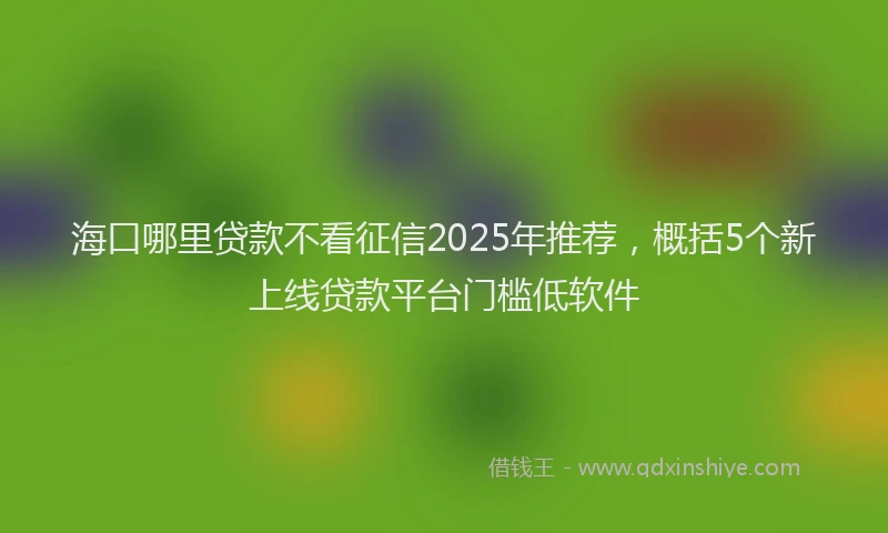 海口哪里贷款不看征信2025年推荐，概括5个新上线贷款平台门槛低软件