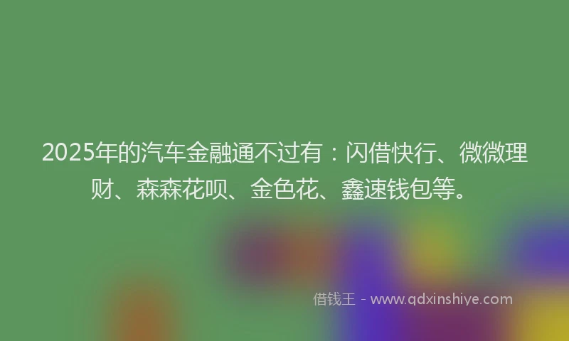 2025年的汽车金融通不过有：闪借快行、微微理财、森森花呗、金色花、鑫速钱包等。