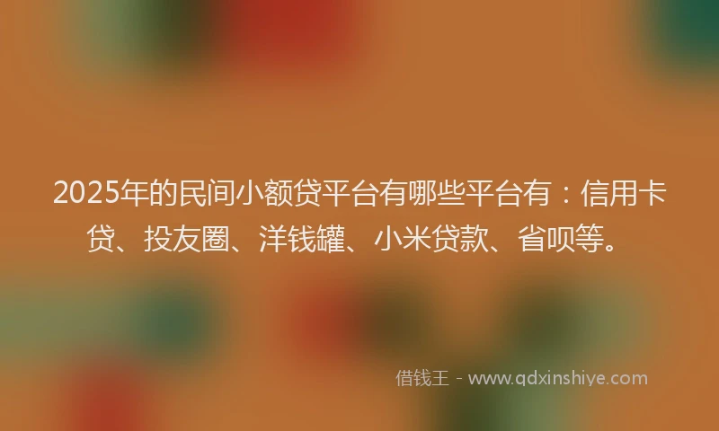 2025年的民间小额贷平台有哪些平台有：信用卡贷、投友圈、洋钱罐、小米贷款、省呗等。