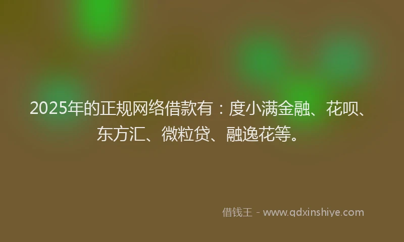 2025年的正规网络借款有：度小满金融、花呗、东方汇、微粒贷、融逸花等。