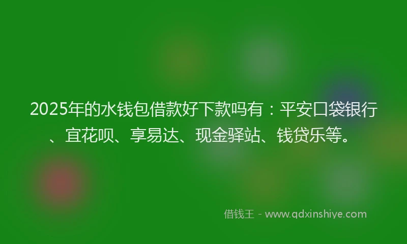 2025年的水钱包借款好下款吗有：平安口袋银行、宜花呗、享易达、现金驿站、钱贷乐等。