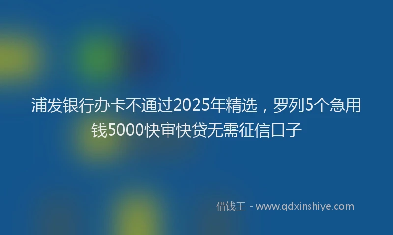 浦发银行办卡不通过2025年精选，罗列5个急用钱5000快审快贷无需征信口子