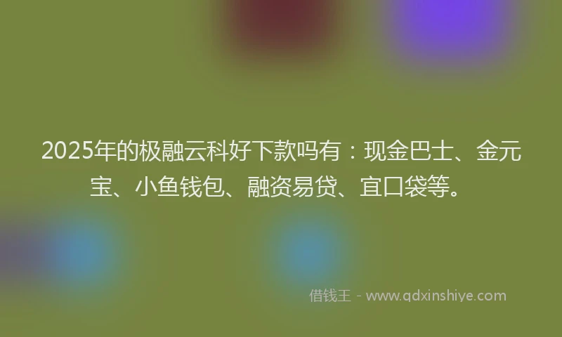2025年的极融云科好下款吗有：现金巴士、金元宝、小鱼钱包、融资易贷、宜口袋等。
