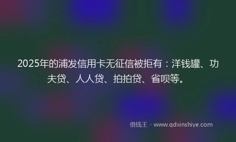 2025年的浦发信用卡无征信被拒有：洋钱罐、功夫贷、人人贷、拍拍贷、省呗等。
