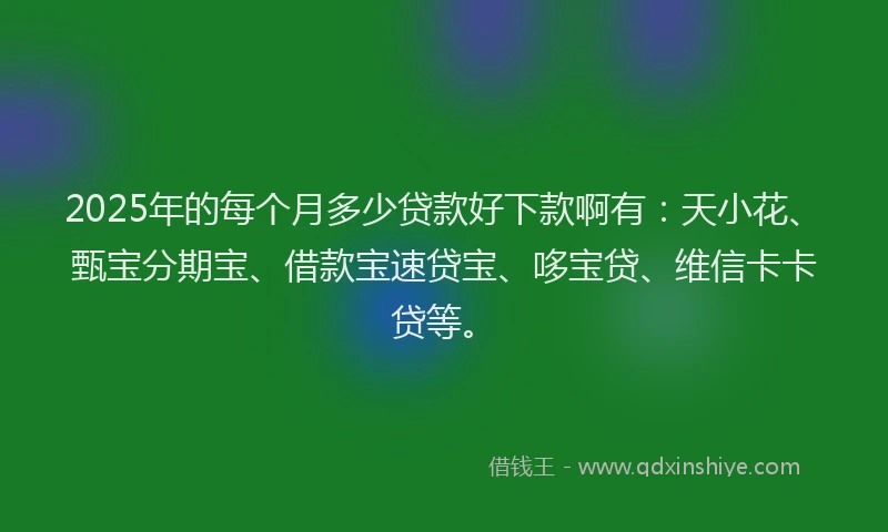 2025年的每个月多少贷款好下款啊有：天小花、甄宝分期宝、借款宝速贷宝、哆宝贷、维信卡卡贷等。