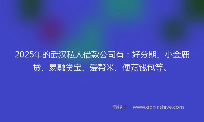 2025年的武汉私人借款公司有：好分期、小金鹿贷、易融贷宝、爱帮米、便荔钱包等。