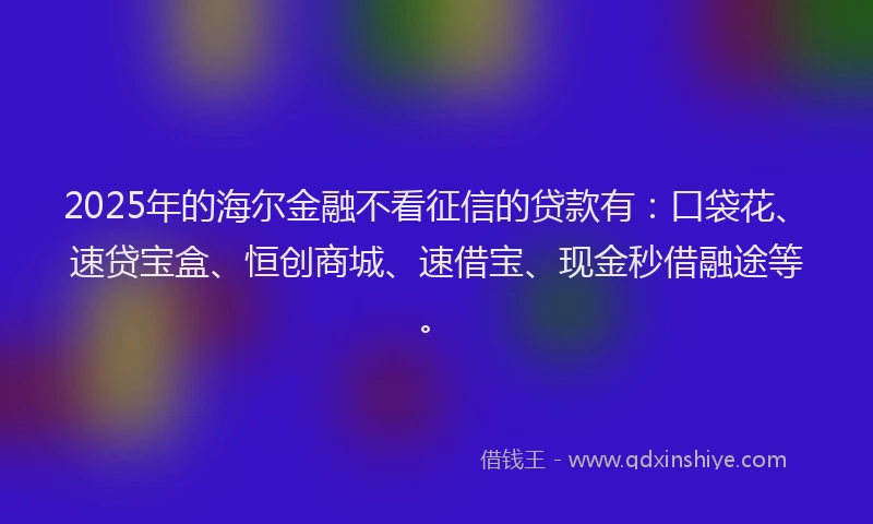 2025年的海尔金融不看征信的贷款有：口袋花、速贷宝盒、恒创商城、速借宝、现金秒借融途等。