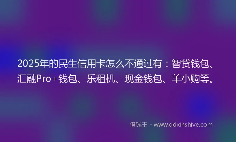 2025年的民生信用卡怎么不通过有：智贷钱包、汇融Pro+钱包、乐租机、现金钱包、羊小购等。