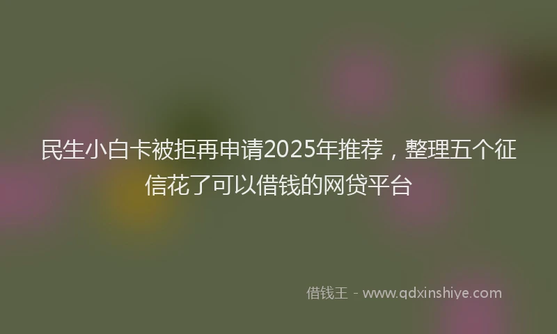 民生小白卡被拒再申请2025年推荐，整理五个征信花了可以借钱的网贷平台
