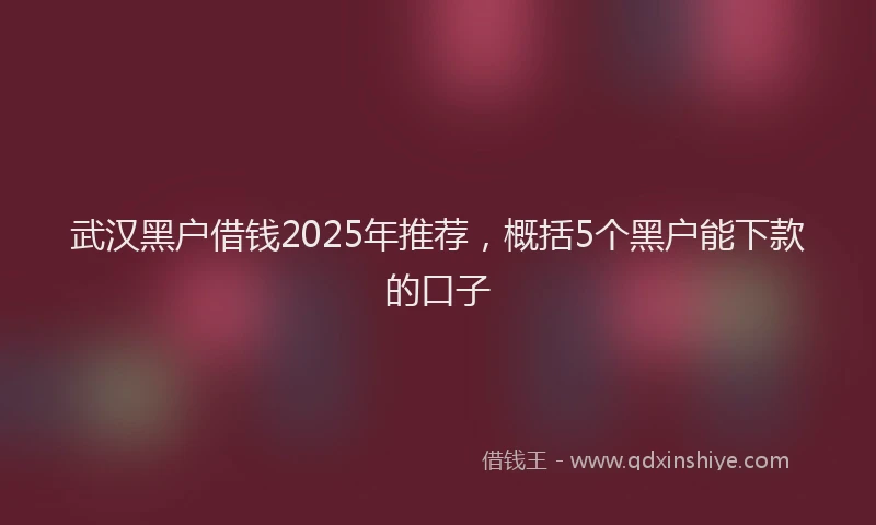 武汉黑户借钱2025年推荐，概括5个黑户能下款的口子