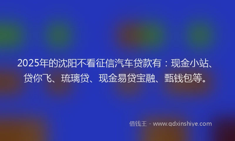 2025年的沈阳不看征信汽车贷款有：现金小站、贷你飞、琉璃贷、现金易贷宝融、甄钱包等。