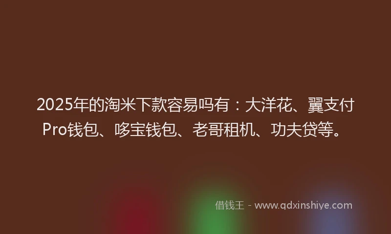 2025年的淘米下款容易吗有：大洋花、翼支付Pro钱包、哆宝钱包、老哥租机、功夫贷等。