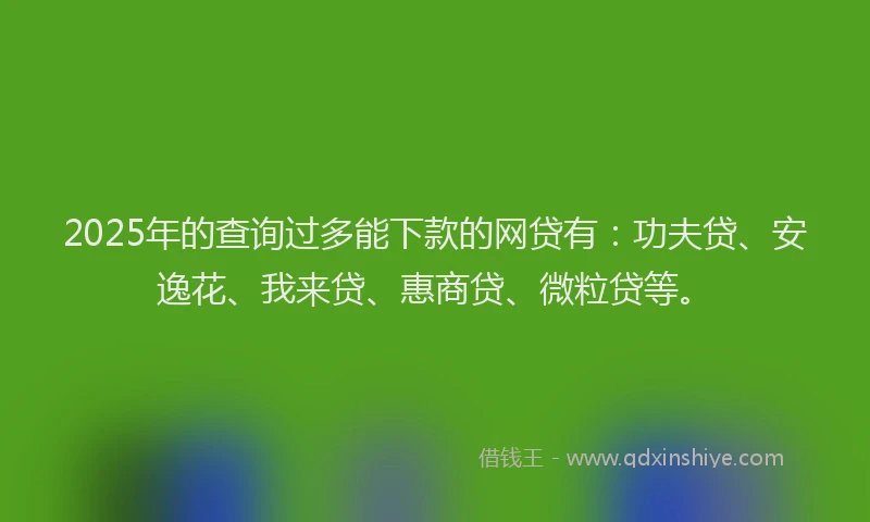 2025年的查询过多能下款的网贷有：功夫贷、安逸花、我来贷、惠商贷、微粒贷等。