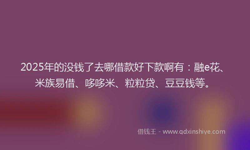 2025年的没钱了去哪借款好下款啊有：融e花、米族易借、哆哆米、粒粒贷、豆豆钱等。