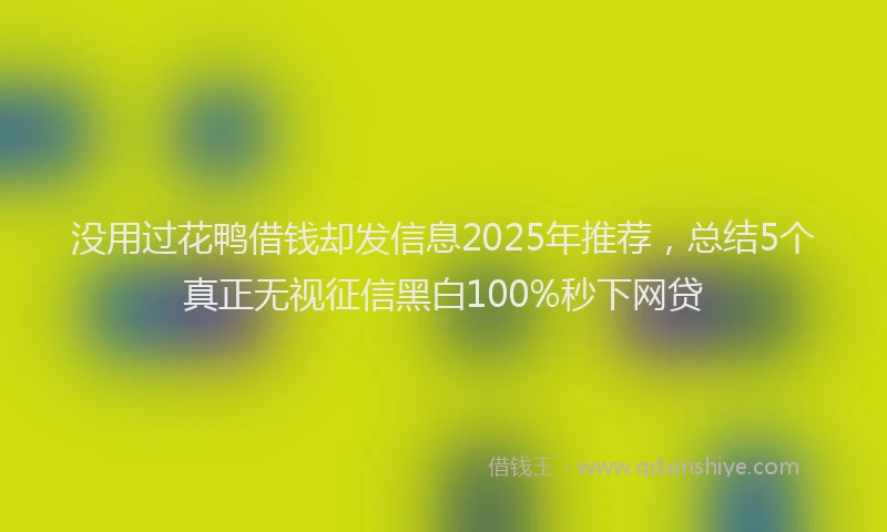 没用过花鸭借钱却发信息2025年推荐，总结5个真正无视征信黑白100%秒下网贷