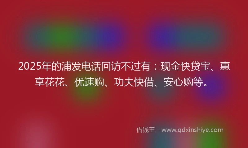 2025年的浦发电话回访不过有：现金快贷宝、惠享花花、优速购、功夫快借、安心购等。