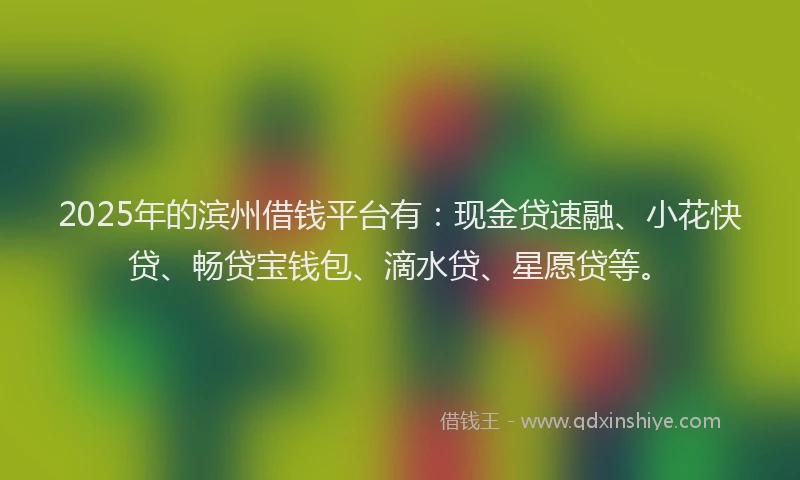 2025年的滨州借钱平台有：现金贷速融、小花快贷、畅贷宝钱包、滴水贷、星愿贷等。
