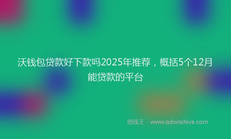 沃钱包贷款好下款吗2025年推荐，概括5个12月能贷款的平台