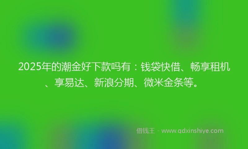 2025年的潮金好下款吗有：钱袋快借、畅享租机、享易达、新浪分期、微米金条等。