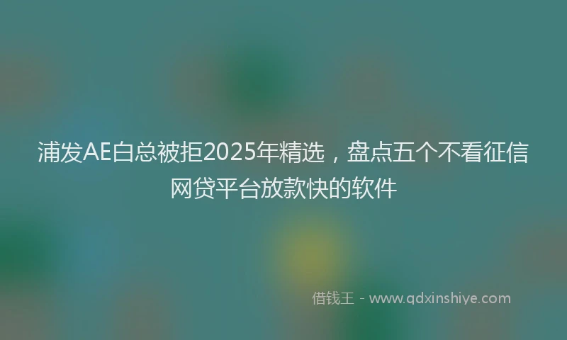 浦发AE白总被拒2025年精选，盘点五个不看征信网贷平台放款快的软件