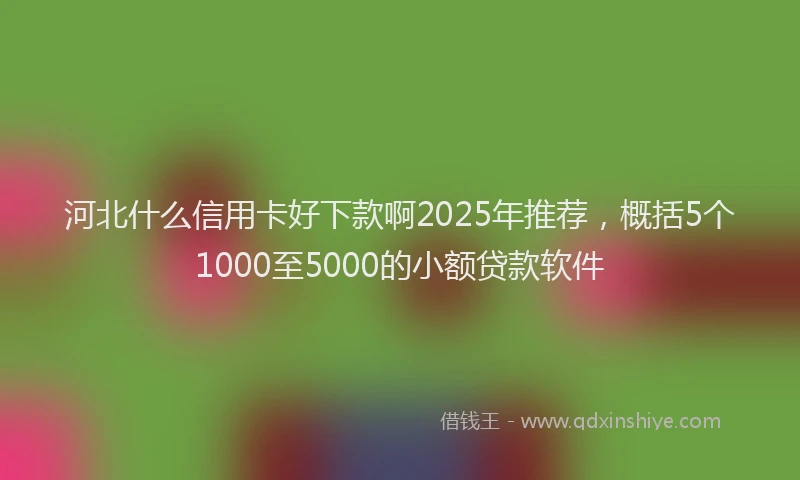 河北什么信用卡好下款啊2025年推荐，概括5个1000至5000的小额贷款软件