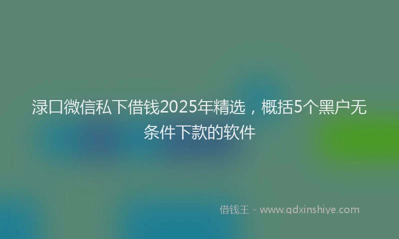 渌口微信私下借钱2025年精选，概括5个黑户无条件下款的软件