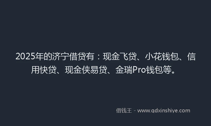 2025年的济宁借贷有：现金飞贷、小花钱包、信用快贷、现金侠易贷、金瑞Pro钱包等。