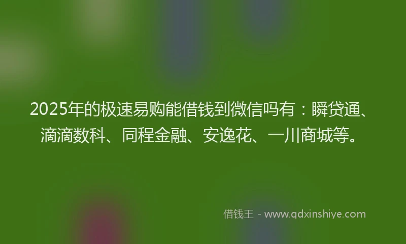 2025年的极速易购能借钱到微信吗有：瞬贷通、滴滴数科、同程金融、安逸花、一川商城等。
