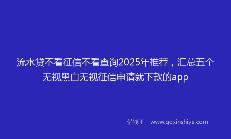 流水贷不看征信不看查询2025年推荐，汇总五个无视黑白无视征信申请就下款的app