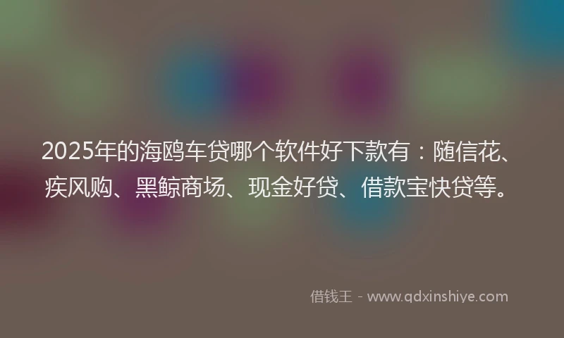 2025年的海鸥车贷哪个软件好下款有：随信花、疾风购、黑鲸商场、现金好贷、借款宝快贷等。