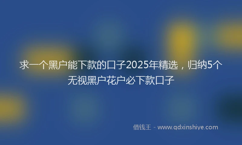 求一个黑户能下款的口子2025年精选，归纳5个无视黑户花户必下款口子