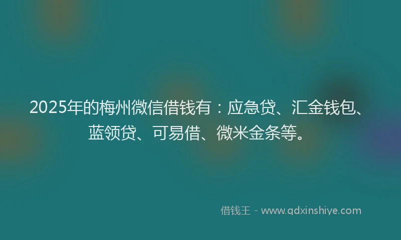2025年的梅州微信借钱有：应急贷、汇金钱包、蓝领贷、可易借、微米金条等。