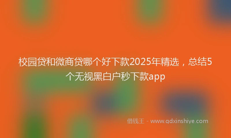 校园贷和微商贷哪个好下款2025年精选，总结5个无视黑白户秒下款app