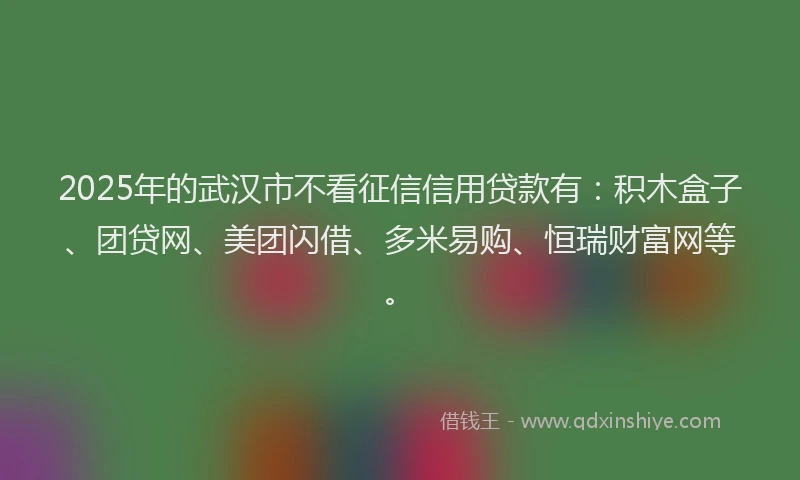 2025年的武汉市不看征信信用贷款有：积木盒子、团贷网、美团闪借、多米易购、恒瑞财富网等。