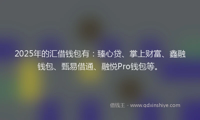 2025年的汇借钱包有：臻心贷、掌上财富、鑫融钱包、甄易借通、融悦Pro钱包等。