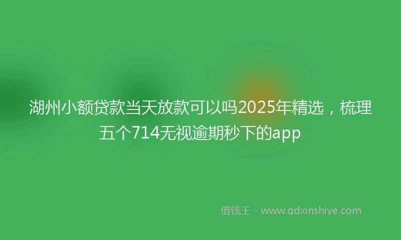 湖州小额贷款当天放款可以吗2025年精选，梳理五个714无视逾期秒下的app