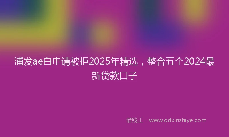 浦发ae白申请被拒2025年精选，整合五个2024最新贷款口子