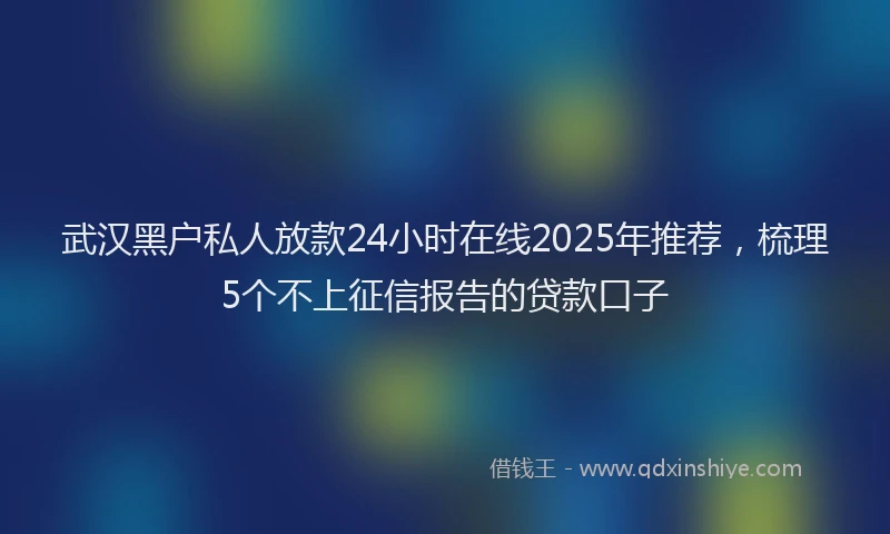 武汉黑户私人放款24小时在线2025年推荐，梳理5个不上征信报告的贷款口子
