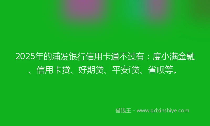 2025年的浦发银行信用卡通不过有：度小满金融、信用卡贷、好期贷、平安i贷、省呗等。