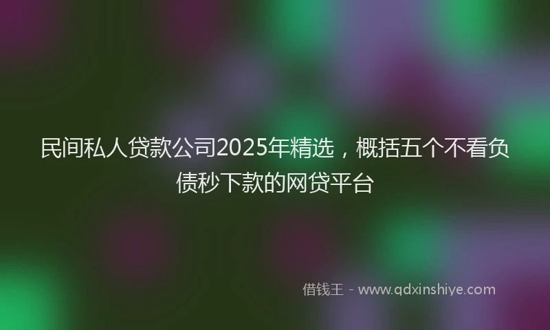 民间私人贷款公司2025年精选，概括五个不看负债秒下款的网贷平台
