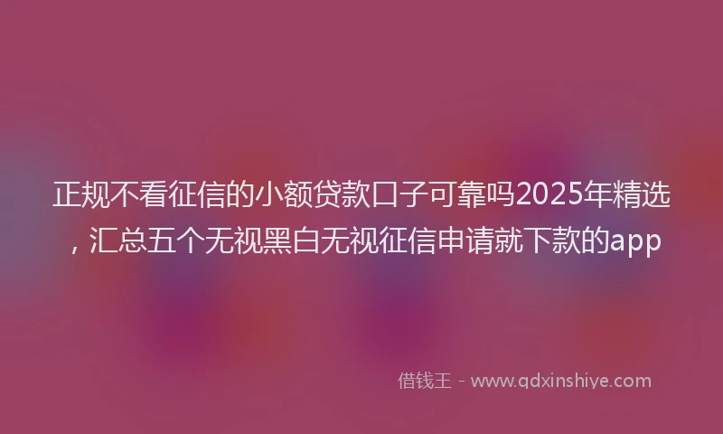 正规不看征信的小额贷款口子可靠吗2025年精选，汇总五个无视黑白无视征信申请就下款的app