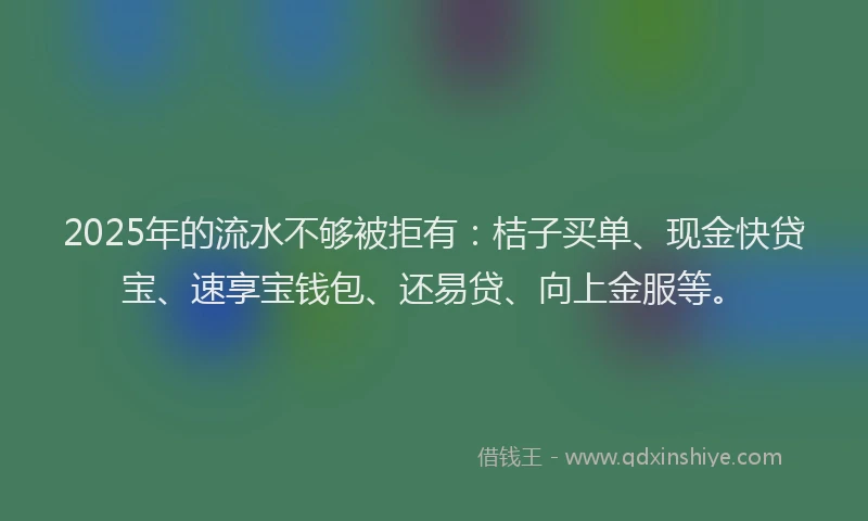 2025年的流水不够被拒有：桔子买单、现金快贷宝、速享宝钱包、还易贷、向上金服等。