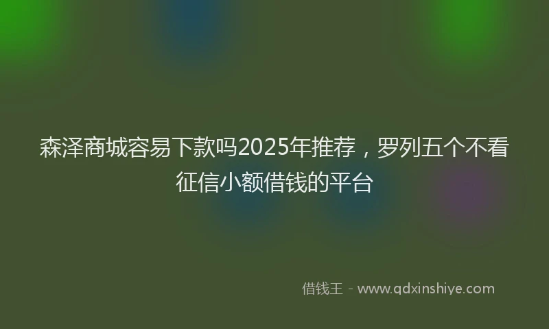 森泽商城容易下款吗2025年推荐，罗列五个不看征信小额借钱的平台